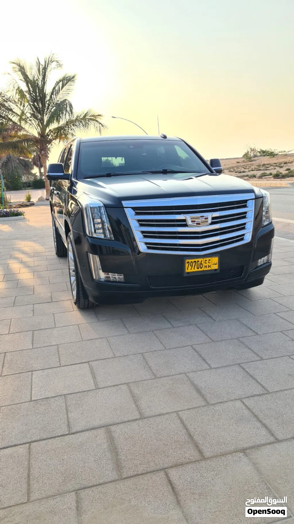2018 Cadillac Escalade Platinum
