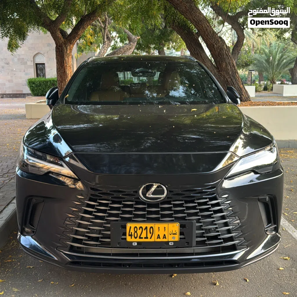 2024, Lexus, RX, RX 350