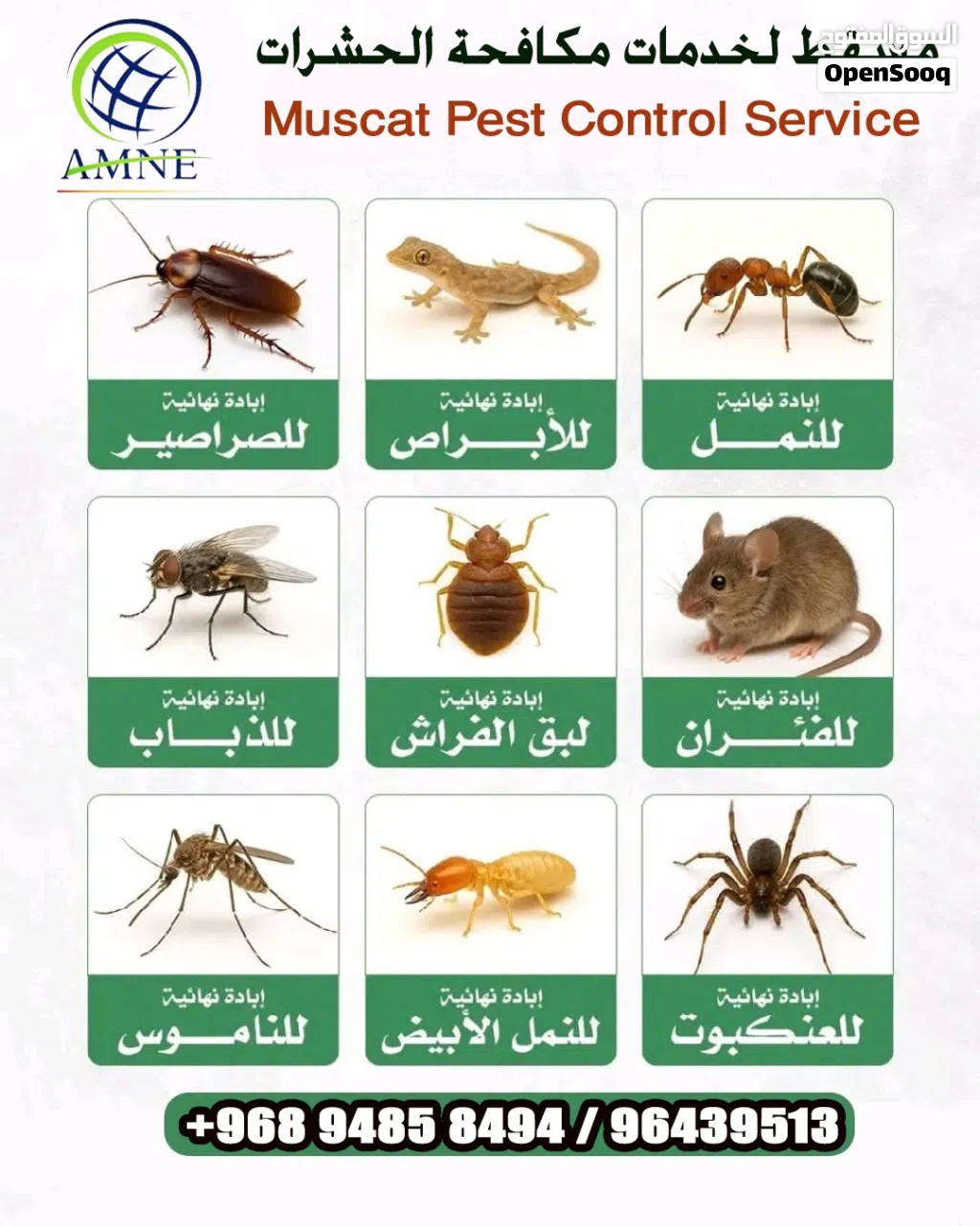 شركه المدخر لمكافحة الحشرات  وتنضيف المباني