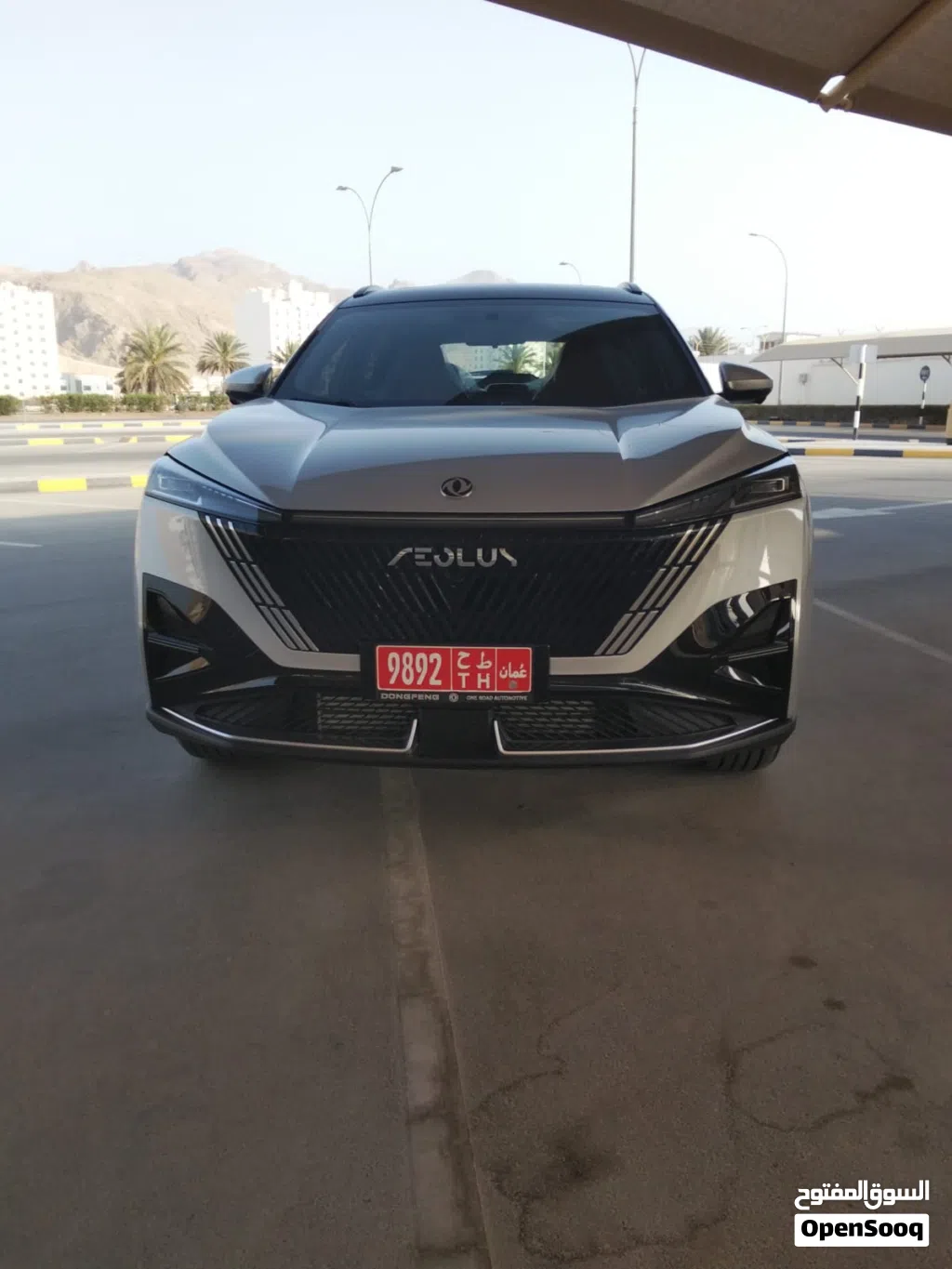 2026 Dongfeng M 500