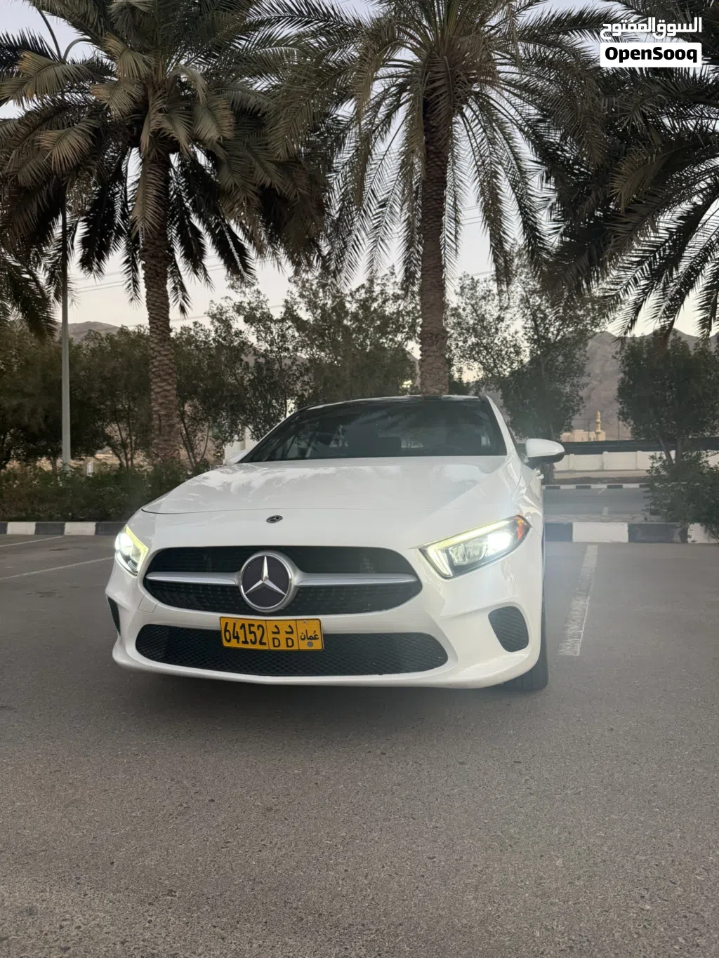 2019, Mercedes Benz, A-Class, A 220