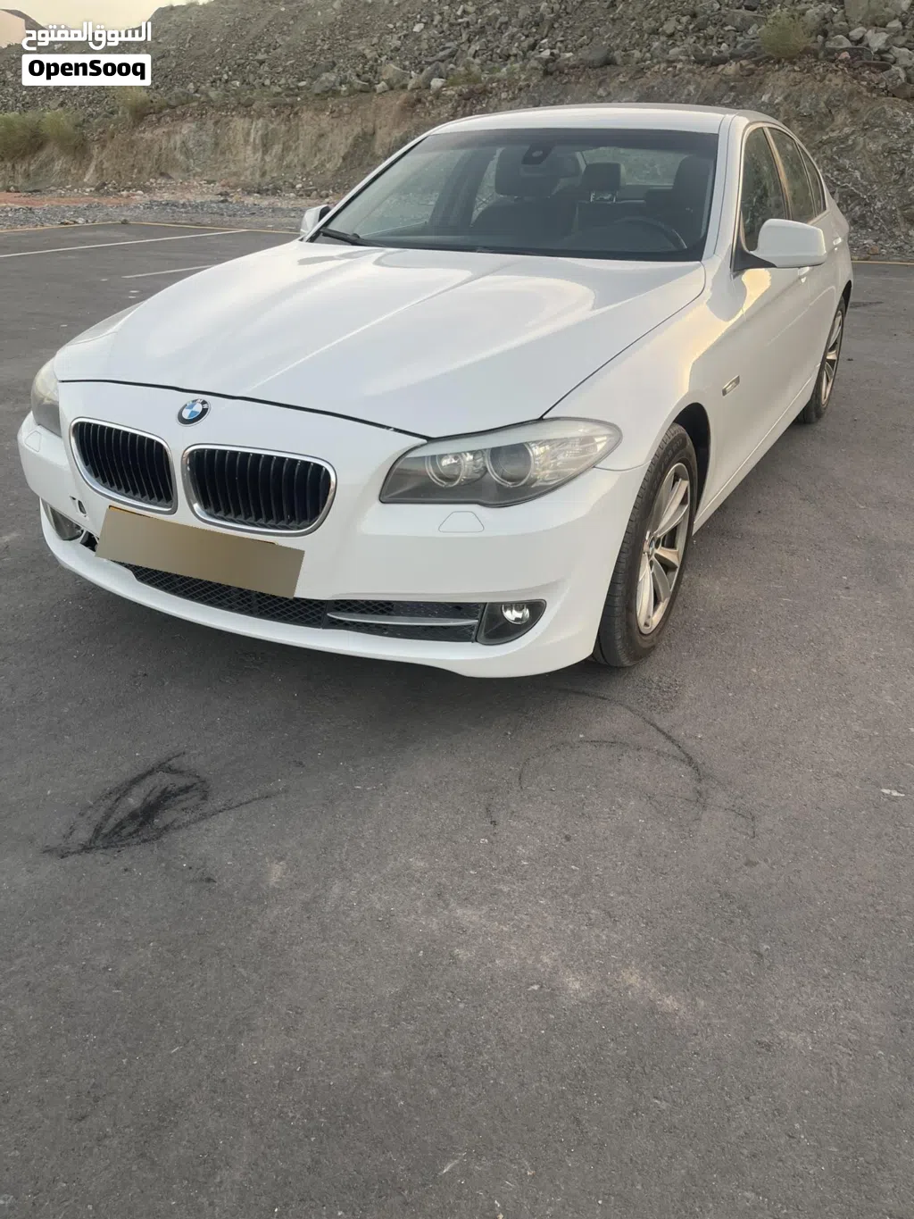 2013 BMW 5 Series 530