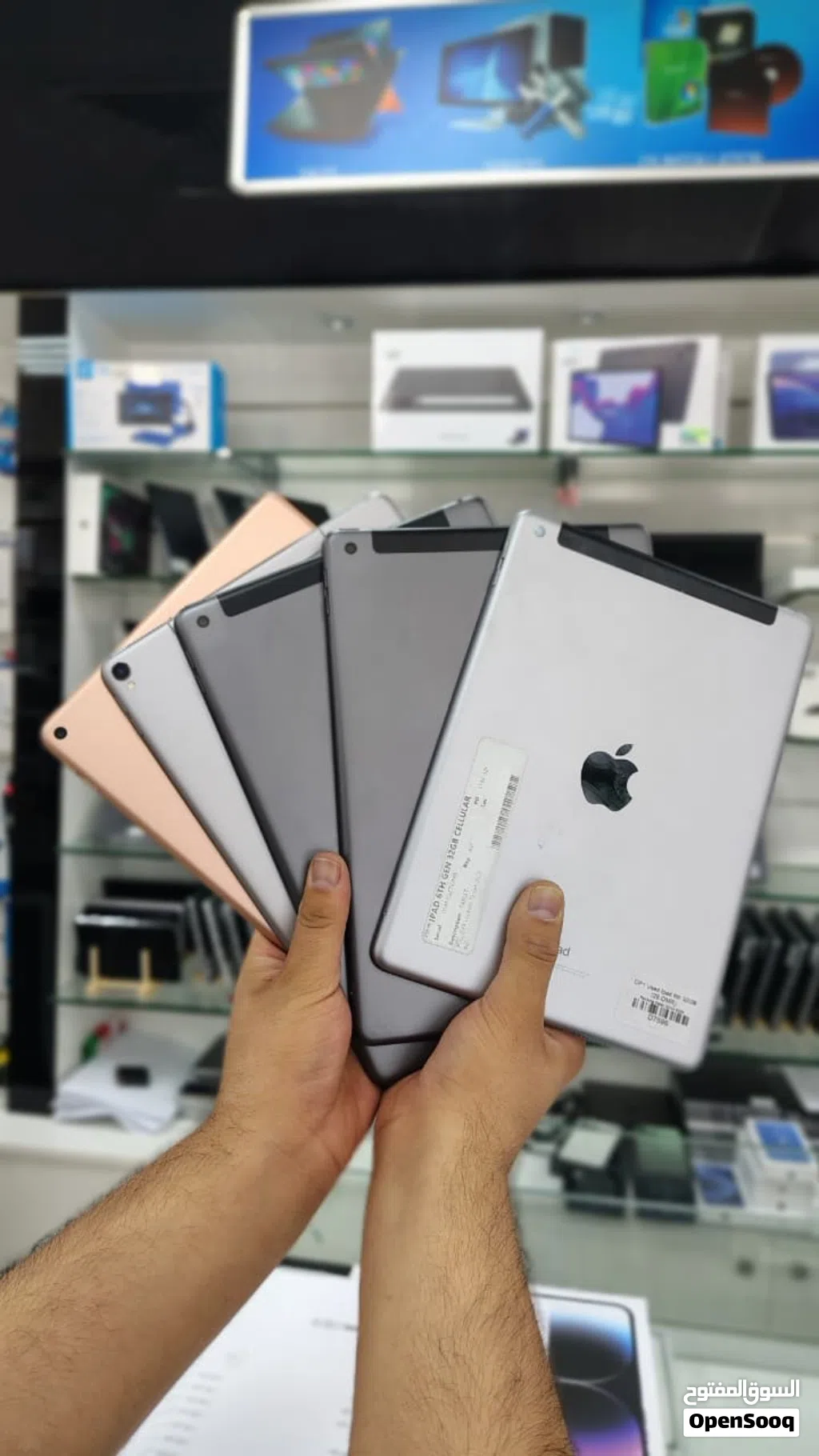 Apple iPad