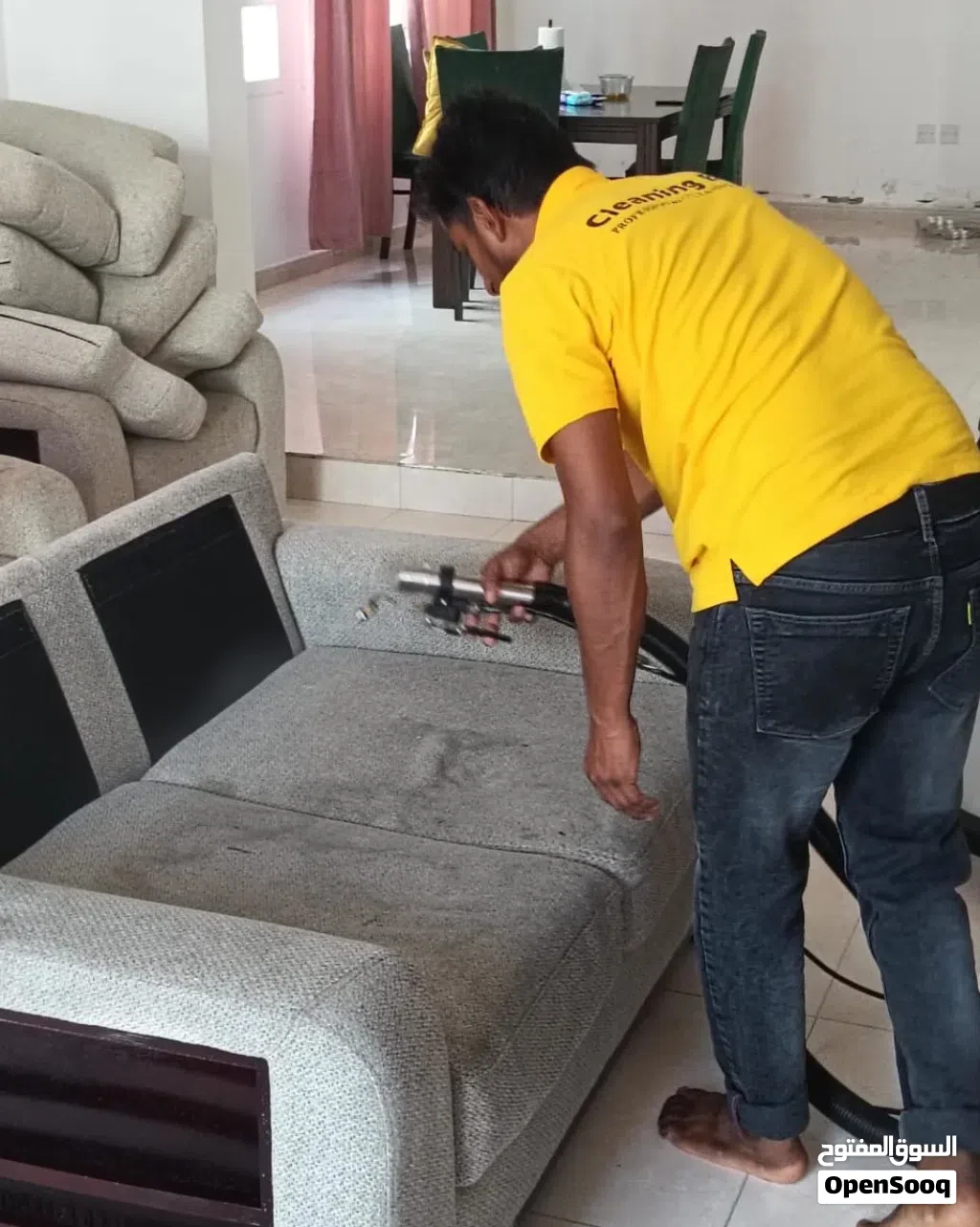 Carpet and sofa cleaning /House cleaning/Dining chair cleaning