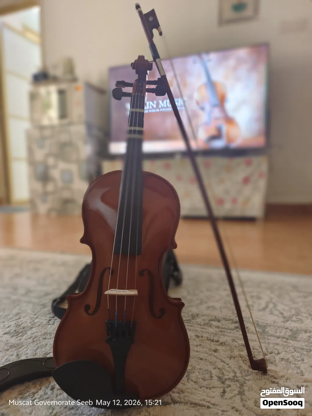 violin instrument with hard case