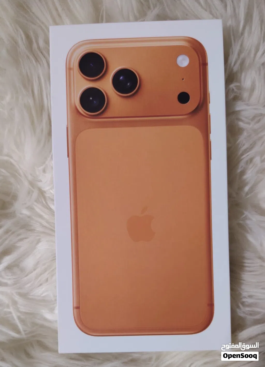 New iPhone 17 Pro Max 1TB