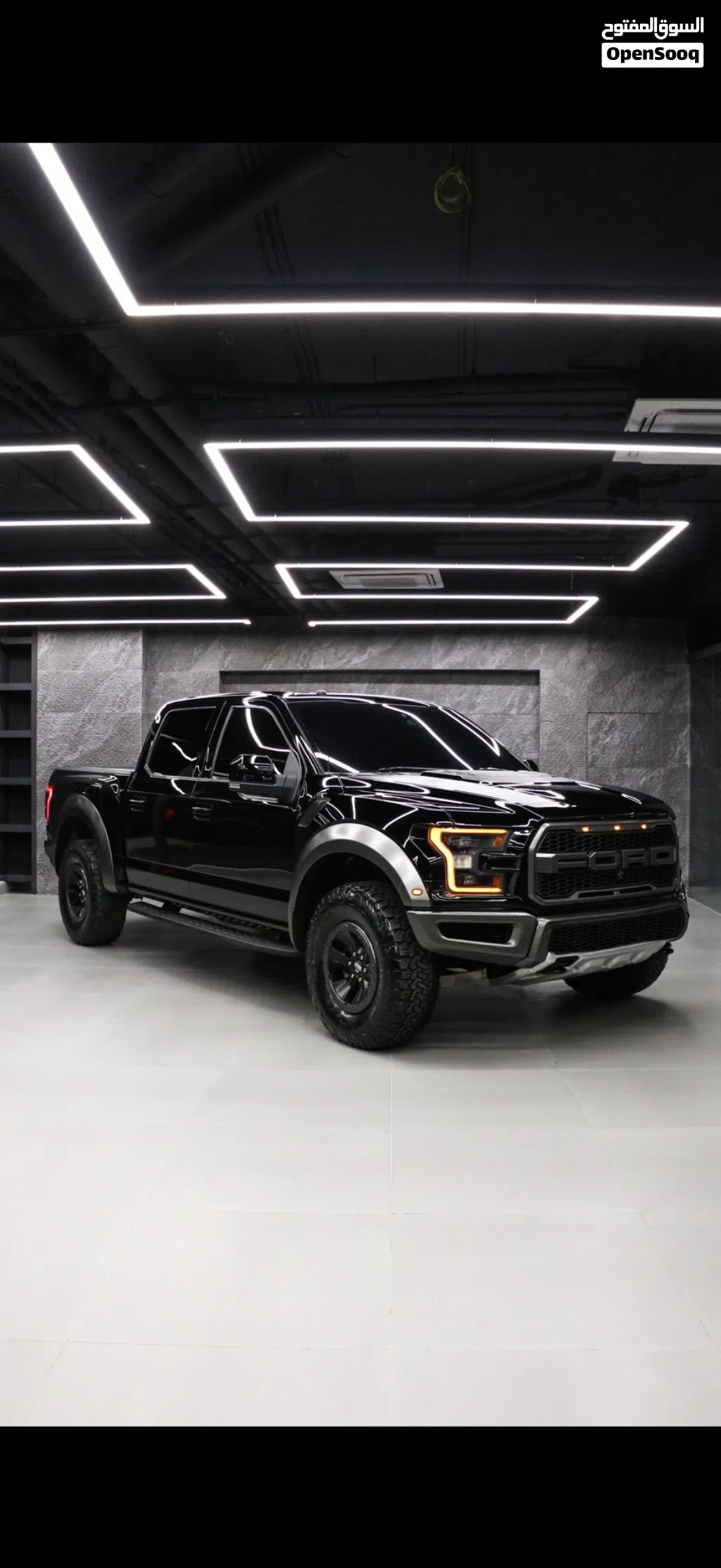 2018 Ford F-150 Raptor