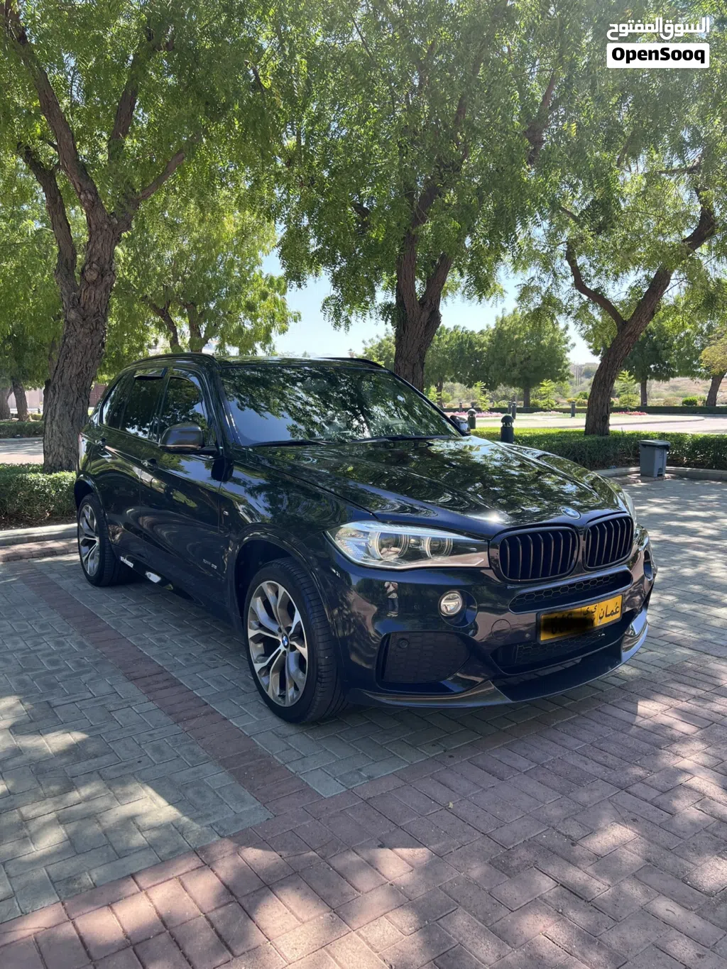 2014 BMW X5 Series X5 xDrive35i