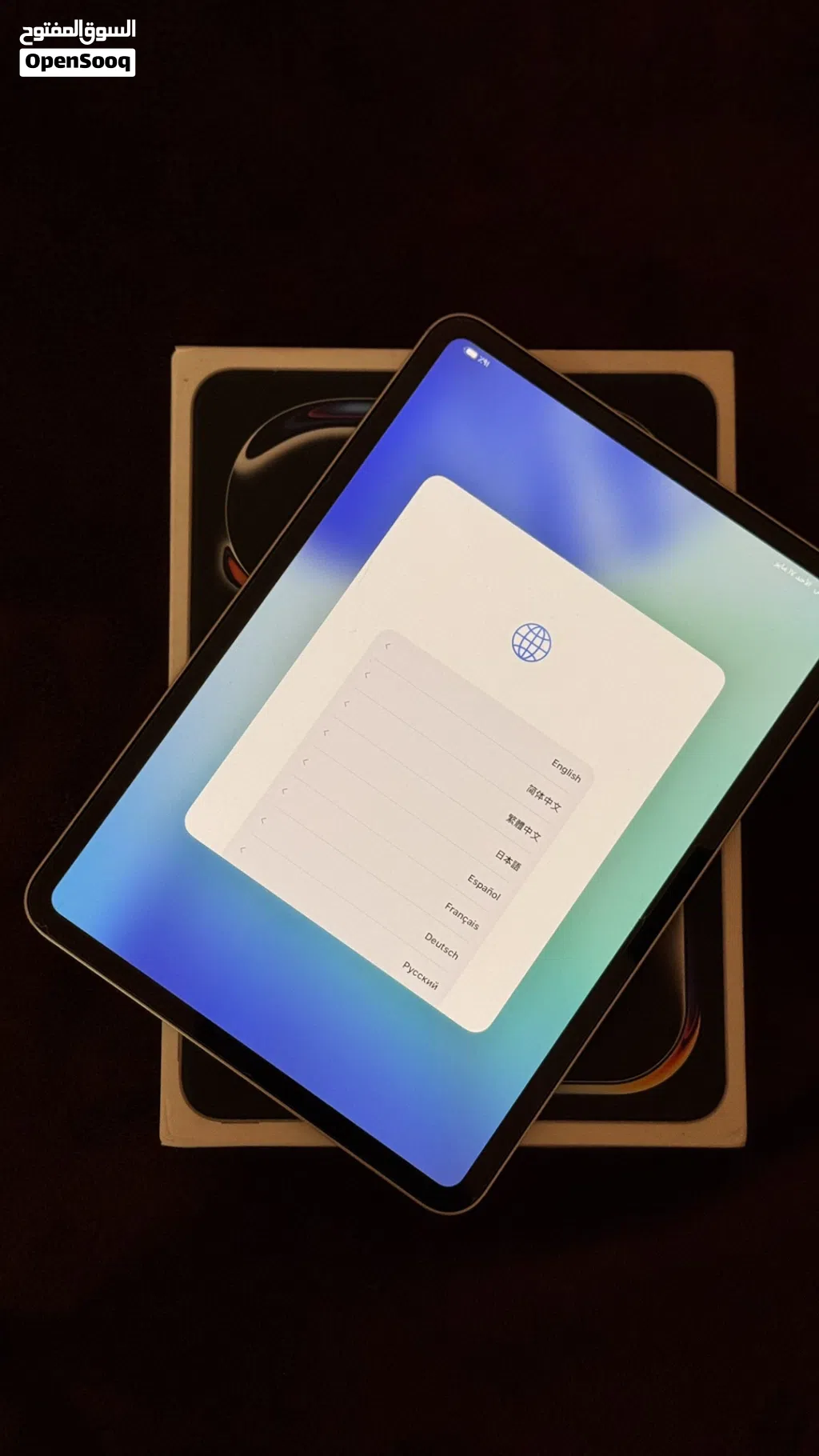 Apple iPad Pro 11 256 GB in Muscat