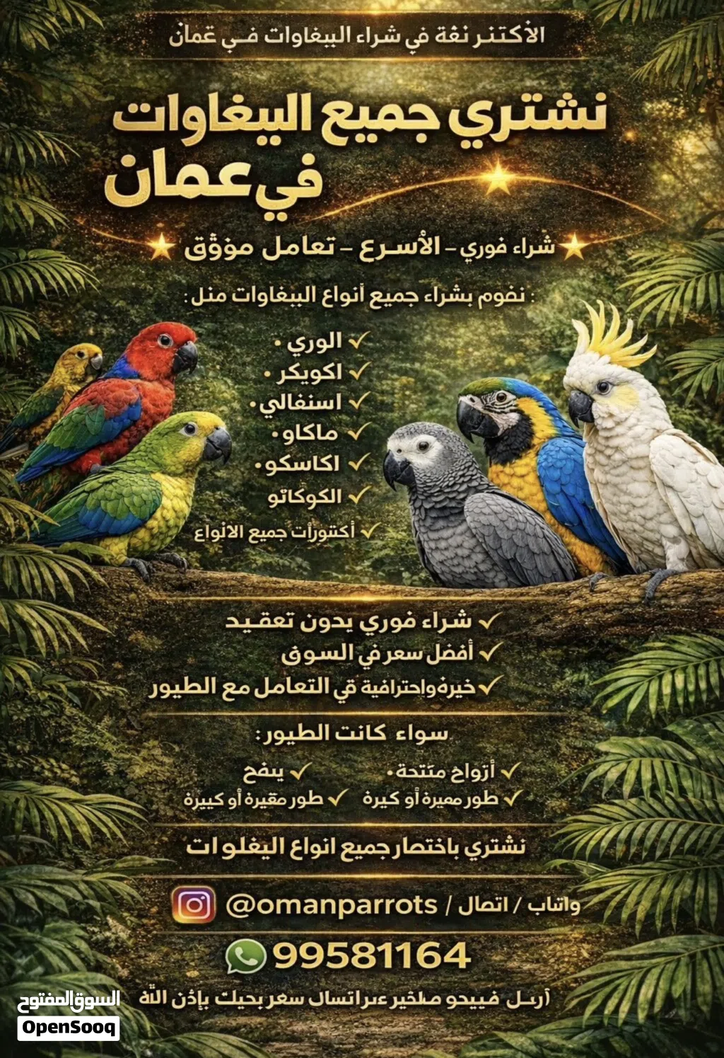 مطلوب  جميع انواع الببغاوات